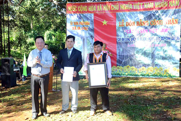 images1189372_7ong_nguyen_bieu.jpg
