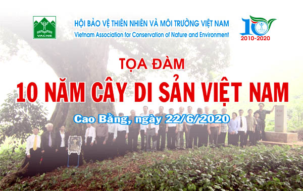 Banner toa dam 10 nam CB.jpg