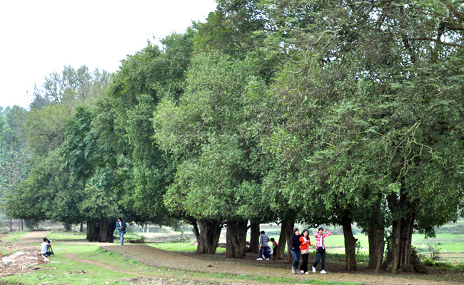 DSC_0754.jpg