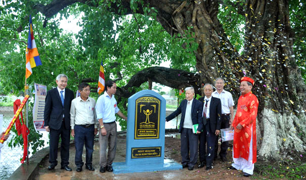 LVD CDS Truc Chinh.jpg
