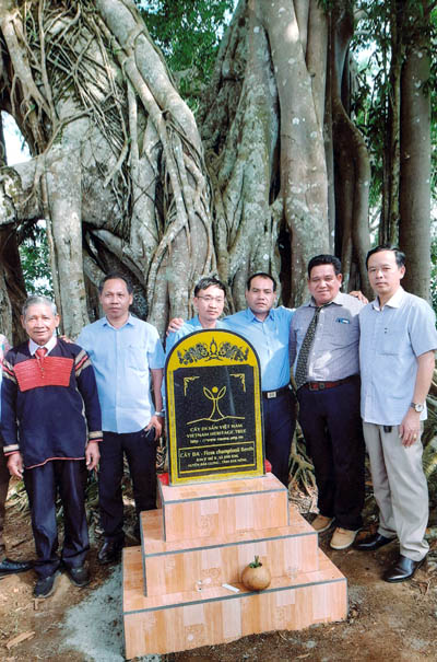 Tn 5.jpg