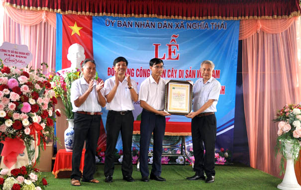 Ảnh có chứa cỏ, người, trong nhà, đứngMô tả được tạo tự động