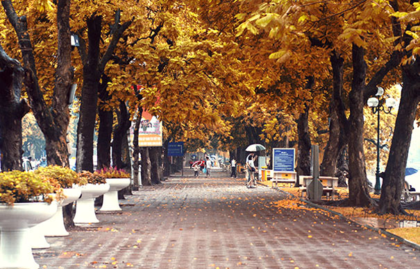 A path with trees and people walking on itDescription automatically generated