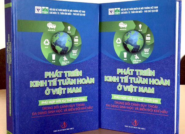 A blue and green book coverDescription automatically generated