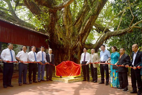 A group of people standing under a treeDescription automatically generated with medium confidence