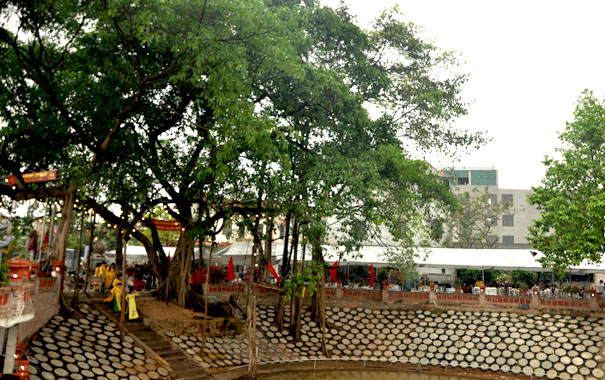 A courtyard with trees and buildings in the backgroundDescription automatically generated with low confidence