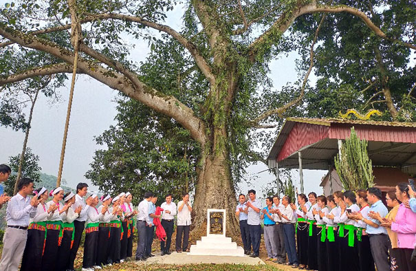 A group of people standing under a treeDescription automatically generated with medium confidence