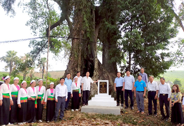 A group of people standing under a treeDescription automatically generated with medium confidence