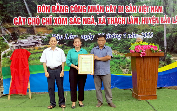 A group of people standing in front of a bannerDescription automatically generated with medium confidence