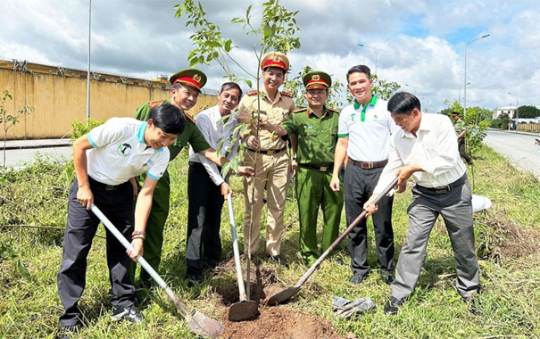 A group of people planting a treeDescription automatically generated