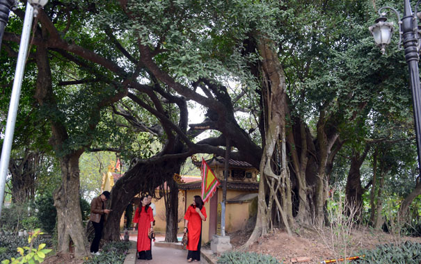 People standing under a treeDescription automatically generated