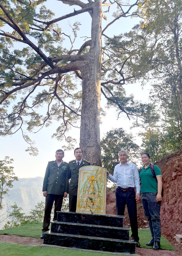 A group of people standing under a treeDescription automatically generated