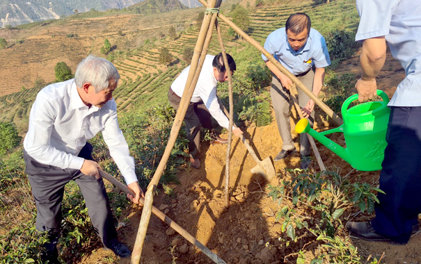 A group of men digging a hole in the groundDescription automatically generated