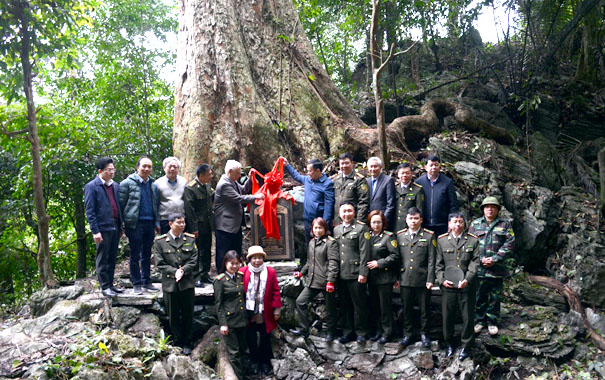 A group of people in uniform standing in front of a treeDescription automatically generated