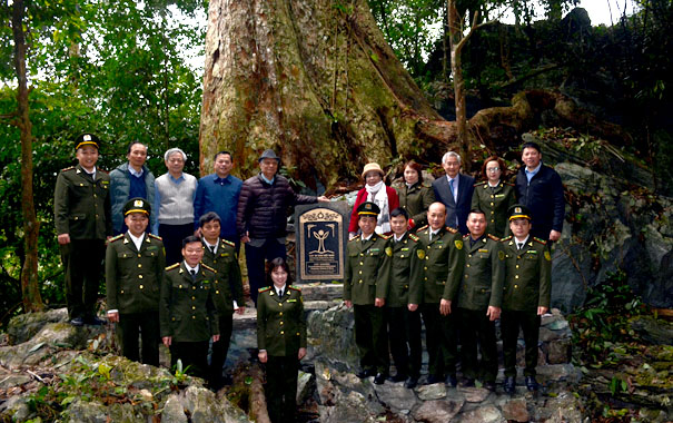 A group of people in uniform standing in front of a treeDescription automatically generated