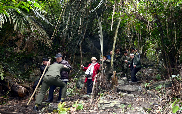 A group of people in the jungleDescription automatically generated