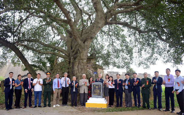 A group of people standing under a treeDescription automatically generated