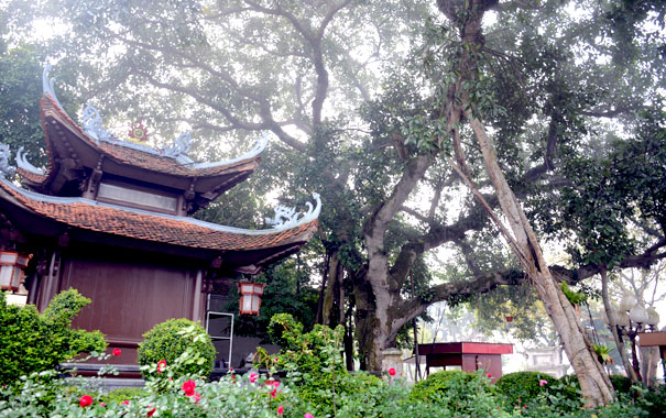 A building with a roof and treesDescription automatically generated with medium confidence