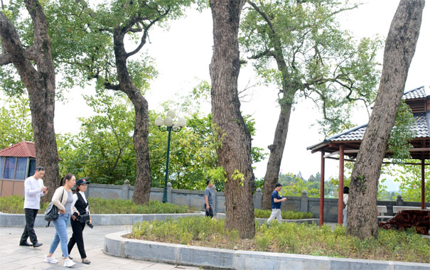 A group of people walking in a parkDescription automatically generated