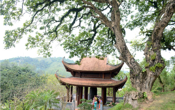 A pagoda with people standing under a treeDescription automatically generated