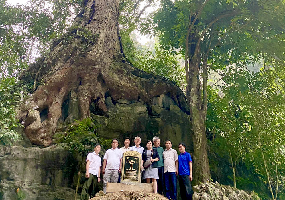 A group of people standing in front of a large treeDescription automatically generated
