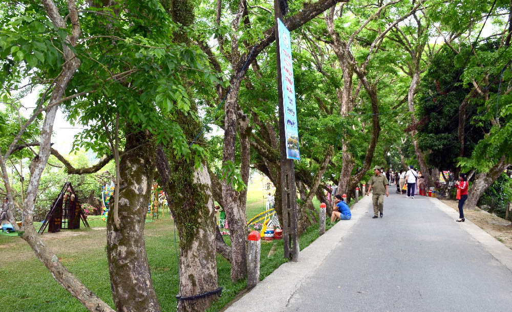 A group of people walking on a sidewalkDescription automatically generated