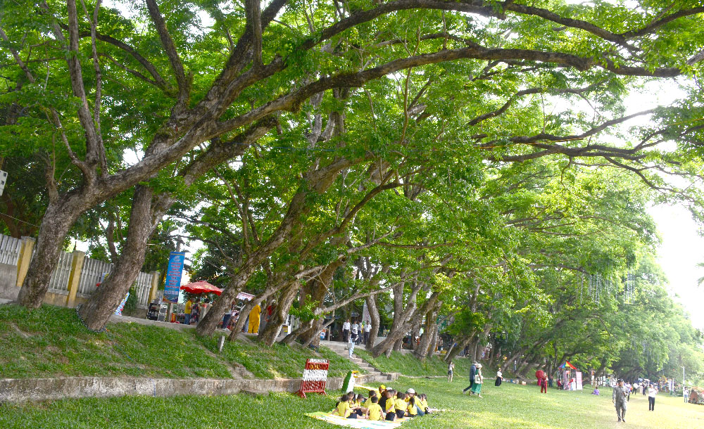 A group of people in a parkDescription automatically generated