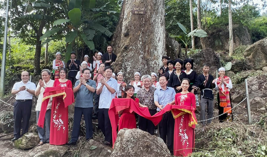 A group of people standing in front of a treeDescription automatically generated