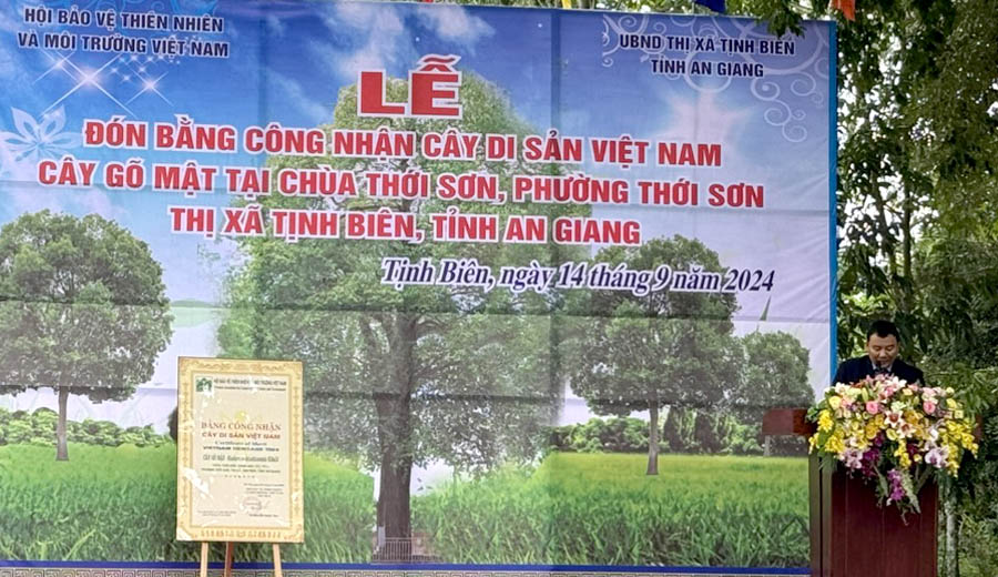 A poster with trees and a picture of a treeDescription automatically generated with medium confidence