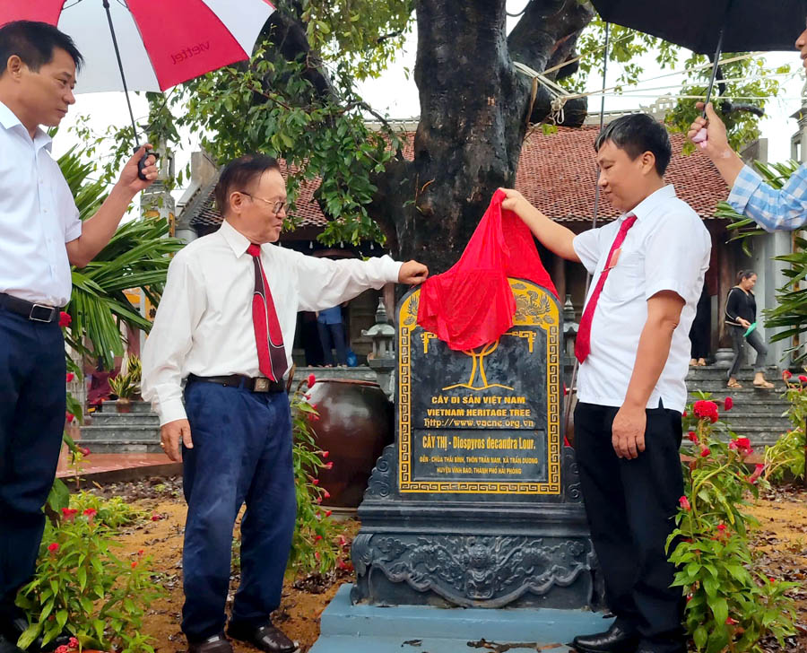 A group of men standing under umbrellasDescription automatically generated