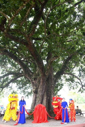 A group of people under a treeAI-generated content may be incorrect.