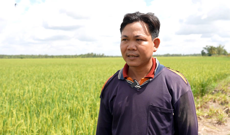 A person standing in a fieldAI-generated content may be incorrect.