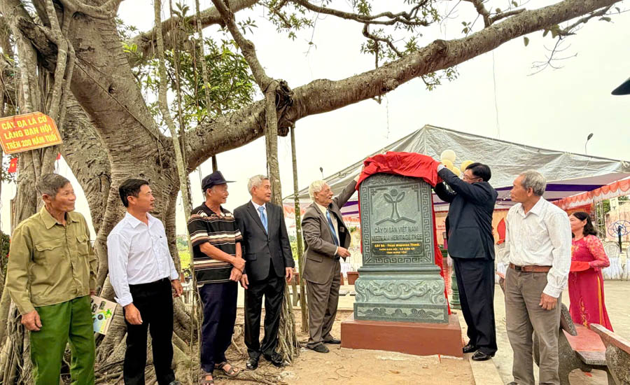 A group of men standing around a graveAI-generated content may be incorrect.