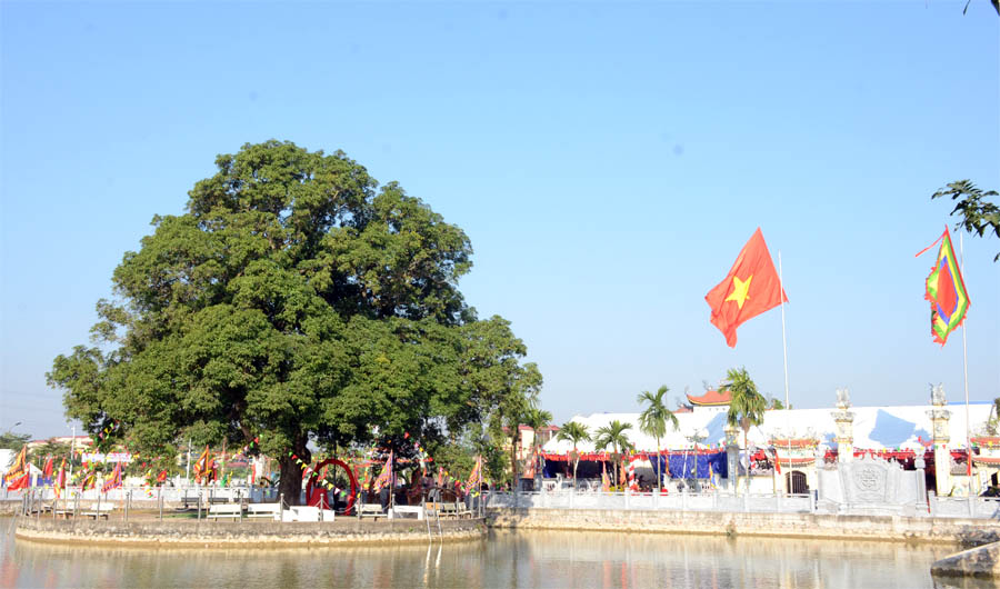 A tree next to a body of waterAI-generated content may be incorrect.