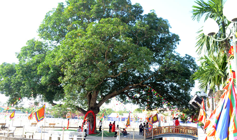 A tree with a red arch and a signAI-generated content may be incorrect.