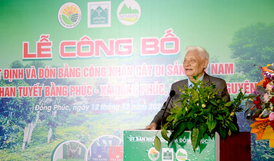 A person standing at a podium with a plant on itAI-generated content may be incorrect.