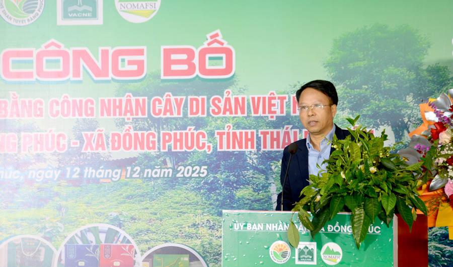 A person standing behind a podium with a plantAI-generated content may be incorrect.