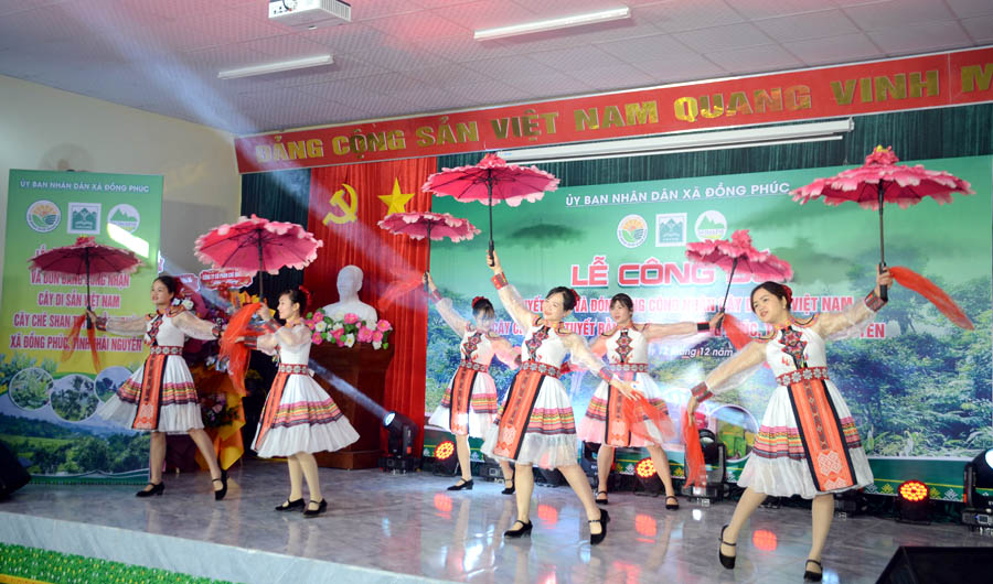 A group of women dancing on a stageAI-generated content may be incorrect.