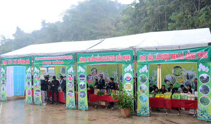 A group of people standing in front of a tentAI-generated content may be incorrect.