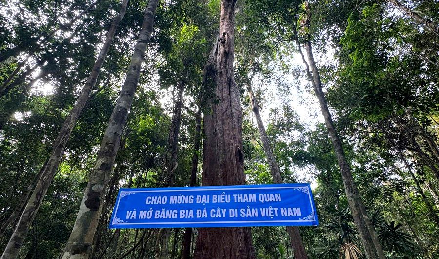 A blue sign on a treeAI-generated content may be incorrect.