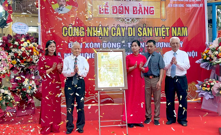 A group of people standing on a red carpetAI-generated content may be incorrect.