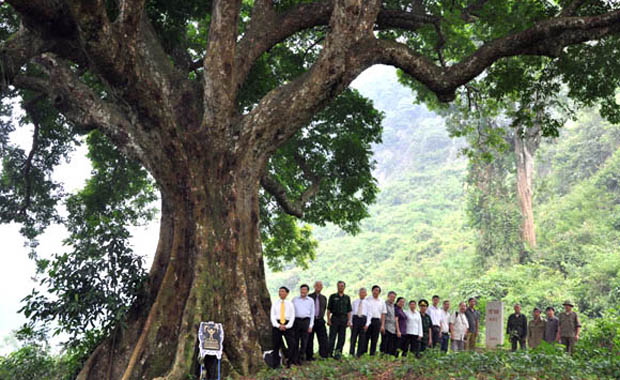 A group of people standing under a treeAI-generated content may be incorrect.
