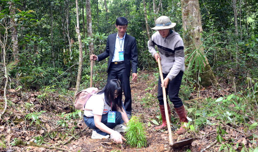 A group of people digging in the woodsAI-generated content may be incorrect.