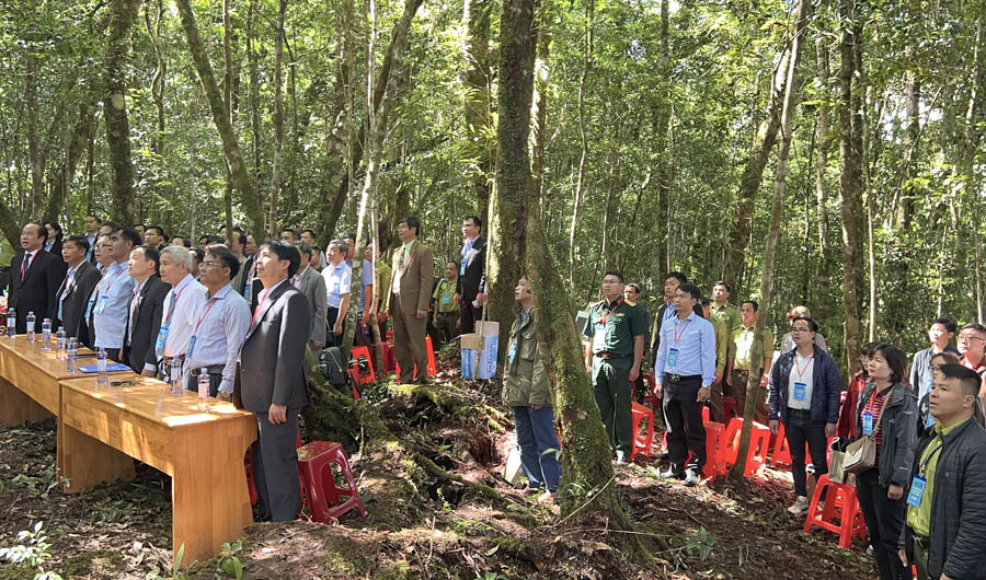 A group of people standing in a forestAI-generated content may be incorrect.