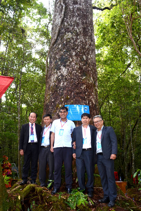 A group of men standing in front of a treeAI-generated content may be incorrect.