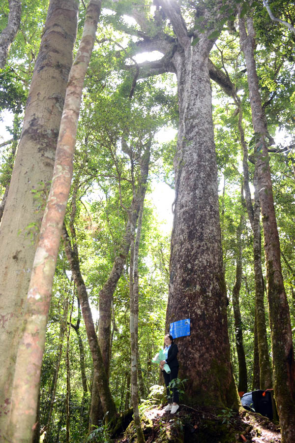 A person standing next to a treeAI-generated content may be incorrect.