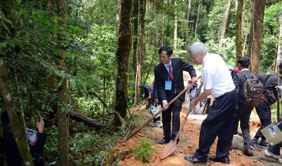 A group of men digging in the woodsAI-generated content may be incorrect.