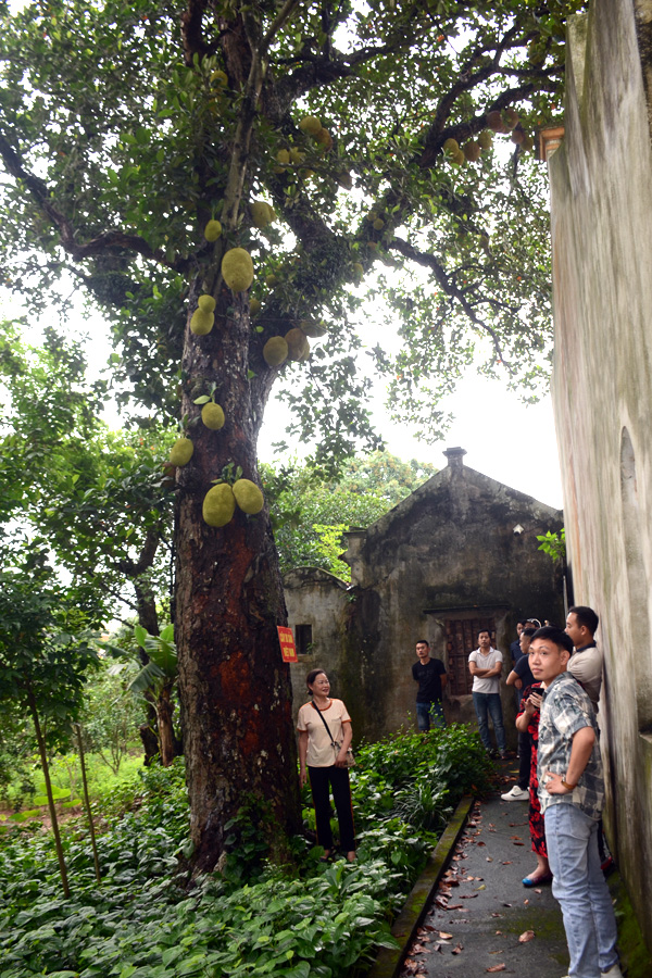 A group of people standing in front of a treeAI-generated content may be incorrect.