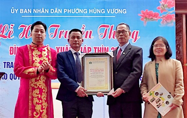 Cây Bồ đề cổ thụ tại thành phố Hải Phòng được công nhận Cây Di sản Việt Nam