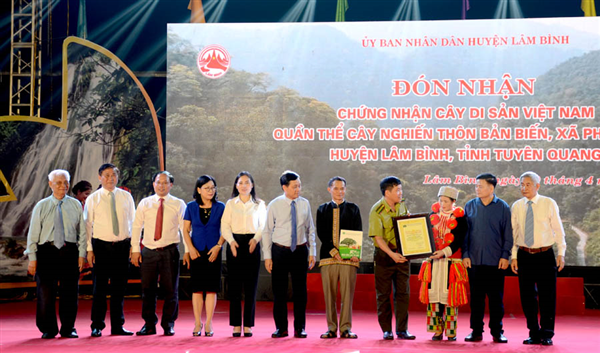Công nhận Cây Di sản vào đúng ngày Kỷ niệm 50 năm thống nhất đất nước